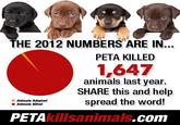People for the Ethical Treatment of Animals (PETA)