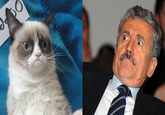 Massimo D'Alema
