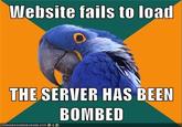 Paranoid Parrot