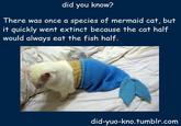 Did You Know?