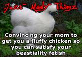 Peyton's Fluffy Chicken