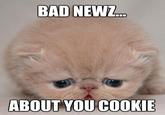 LOLcats