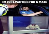 Just Waiting For A Mate