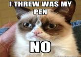 I Threw was my Pen