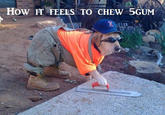 How It Feels To Chew 5 Gum
