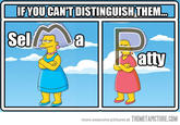 What Has Been Seen Cannot Be Unseen