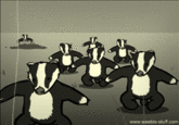 Badger Badger Badger