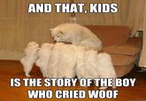 Storytelling Dog