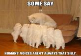 Storytelling Dog