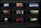 Choice Games