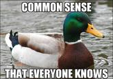 Advice Animals