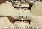 Snoopy the Cat