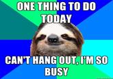 Sloths