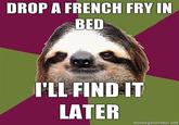 Sloths