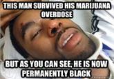 Faces of Marijuana