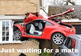 Just Waiting For A Mate