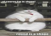 LOLcats