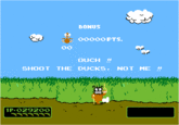 Duck Hunt