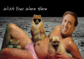 Nicolas Cage