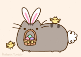 Pusheen