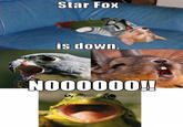 Star Fox