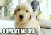 COME AT ME BRO