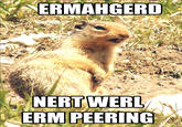 Ermahgerd