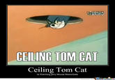 Ceiling Cat