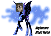 Moon Moon