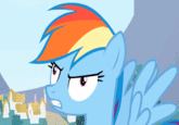 Pony Reactions
