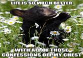 Confession Bear