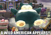 A Wild X Appears! / Wild X Appeared!