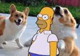 Reaction Faces