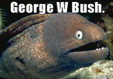George W. Bush