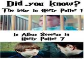 Did You Know?