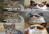 A Cat Is Fine Too