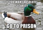 Actual Advice Mallard