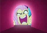 Flutterrage / Flutterbitch