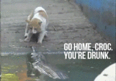 Go Home, You Are Drunk