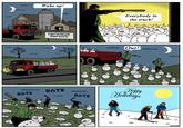 Webcomics