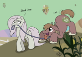 My Little Pony: Friendship is Magic