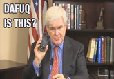 Newt Gingrich