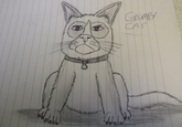 Grumpy Cat