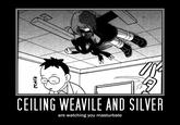 Ceiling Cat