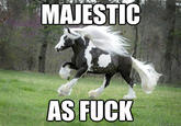 Majestic as Fuck