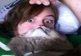 Cat Beards
