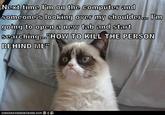 Grumpy Cat