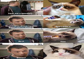 Grumpy Cat