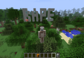 Minecraft