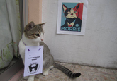 El CandiGato Morris (Morris the Cat-idate)